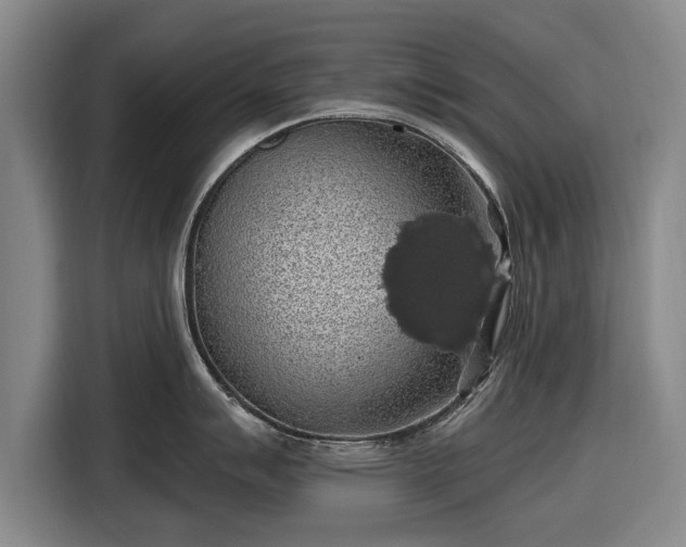 X0000116491007200912161315