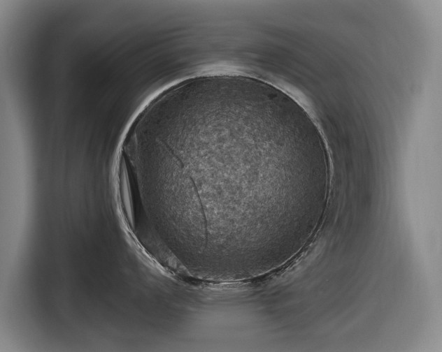 X0000116491008200912161315