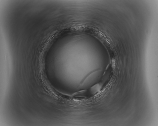 X0000116491009200912161314