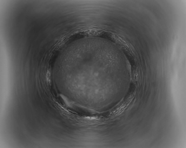 X0000116491010200912161314