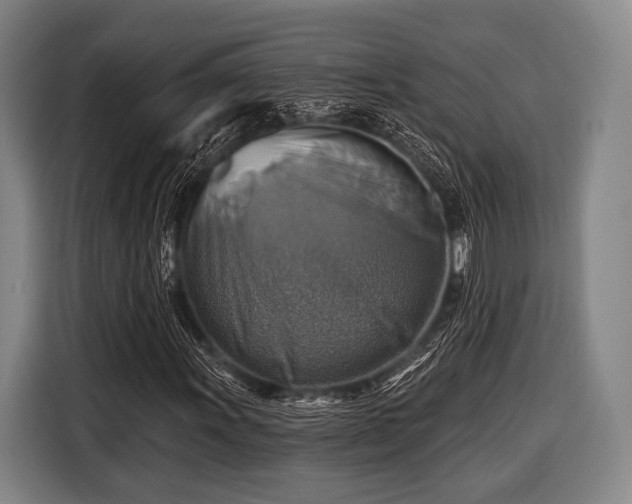 X0000116491011200912161314