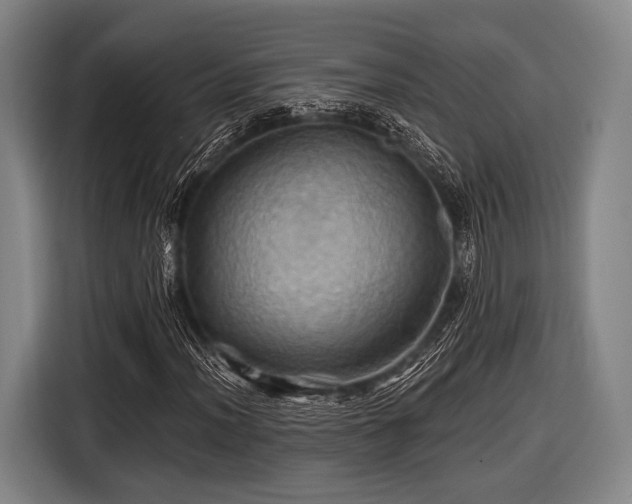 X0000116491012200912161314