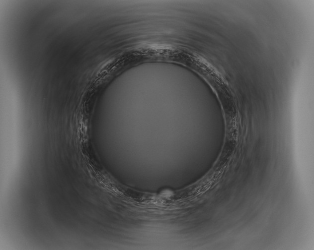 X0000116491013200912161314