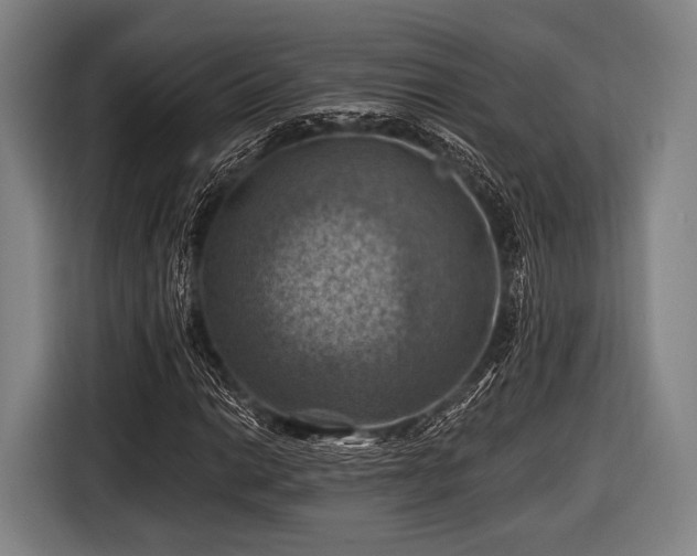 X0000116491014200912161314