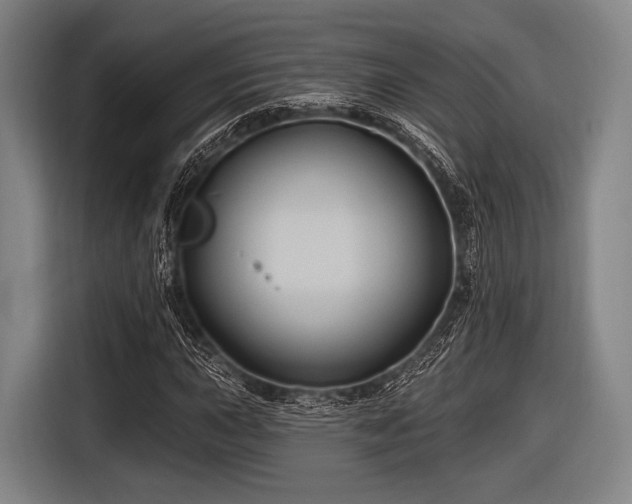 X0000116491015200912161314