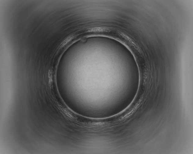 X0000116491017200912161314