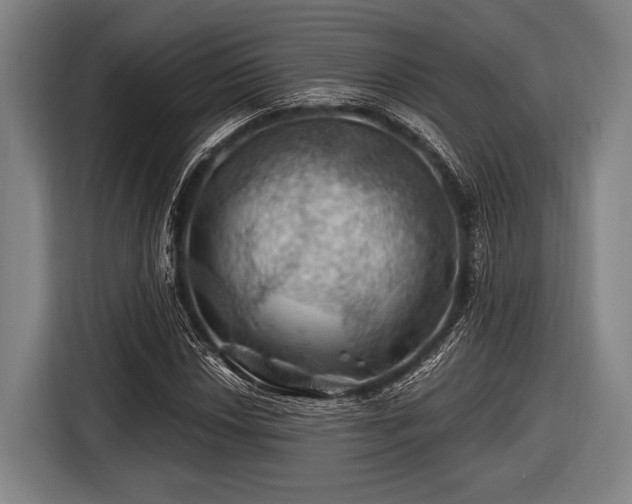 X0000116491018200912161314