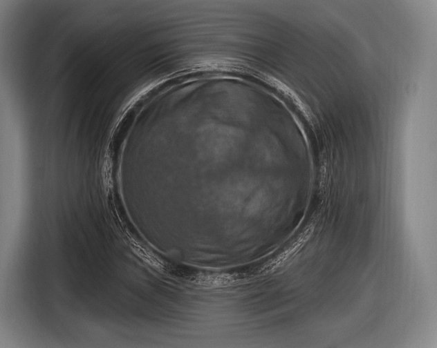 X0000116491019200912161314