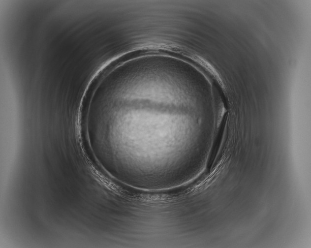 X0000116491020200912161314