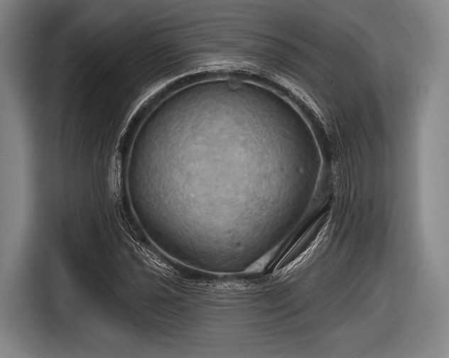 X0000116491021200912161314