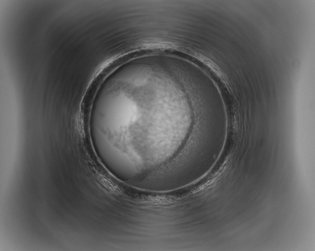 X0000116491022200912161314