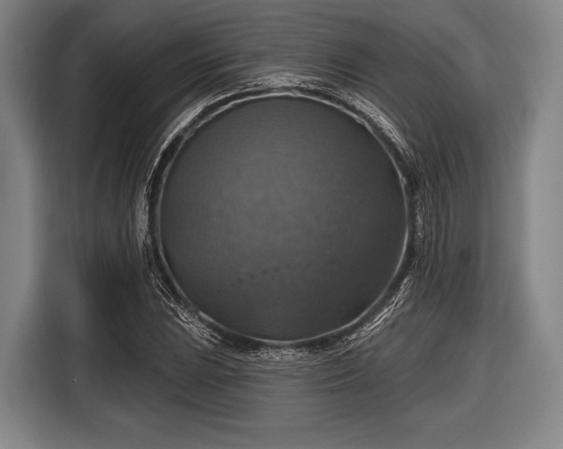 X0000116491023200912161314