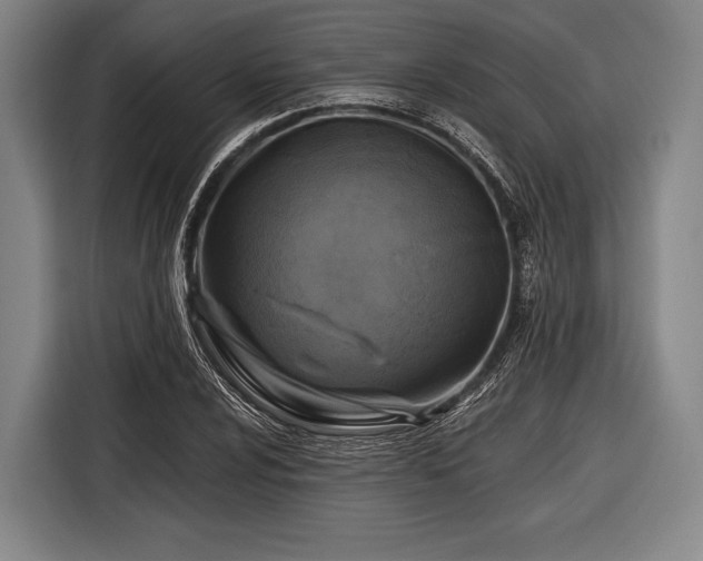 X0000116491024200912161314