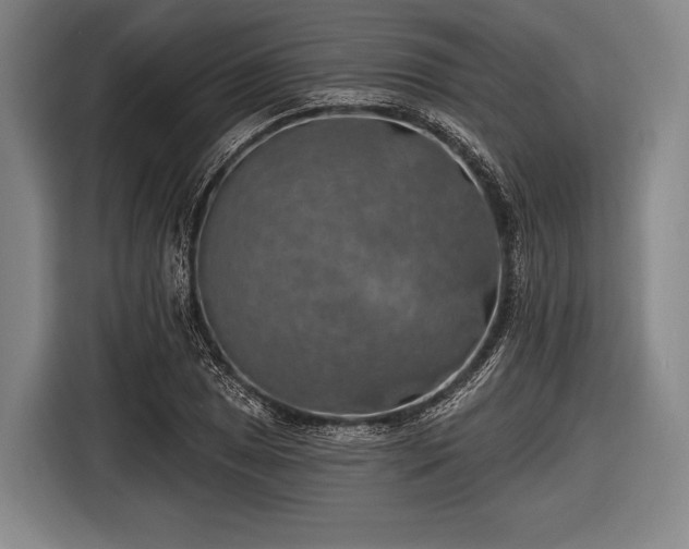 X0000116491025200912161314