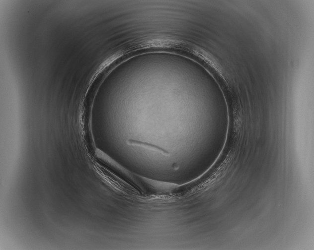 X0000116491026200912161314