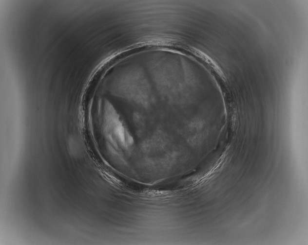 X0000116491027200912161314