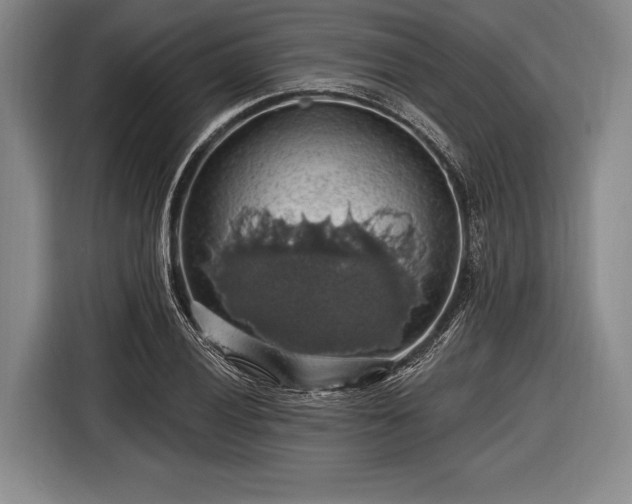 X0000116491028200912161314