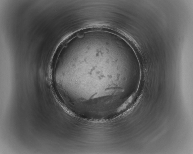 X0000116491029200912161314