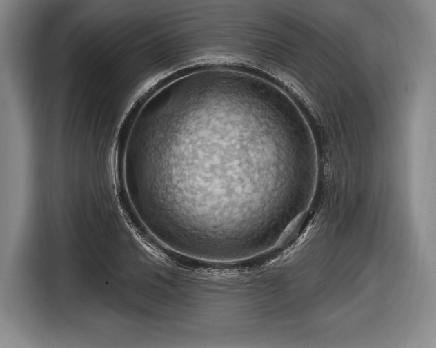 X0000116491030200912161314