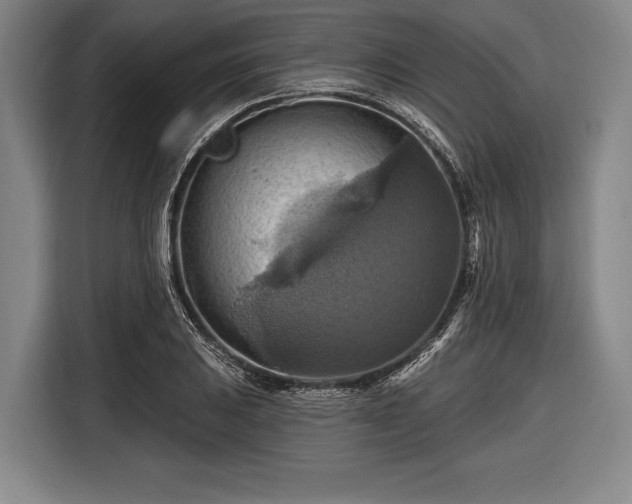 X0000116491031200912161314