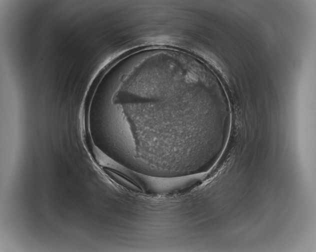 X0000116491032200912161314