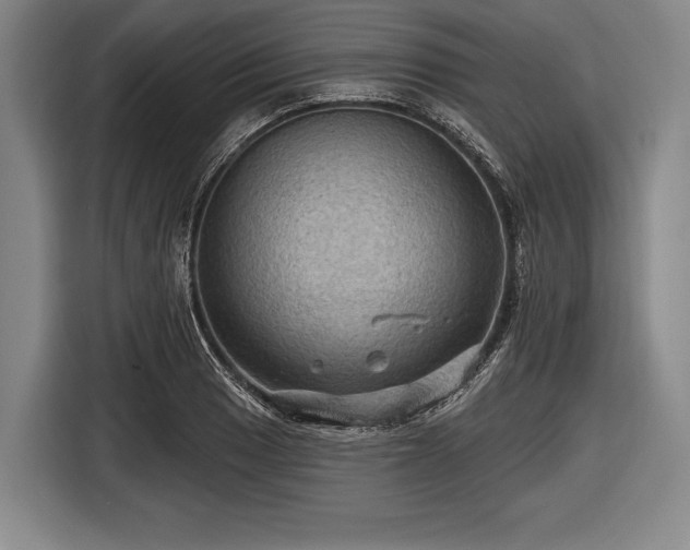 X0000116491033200912161314