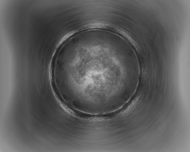 X0000116491034200912161314