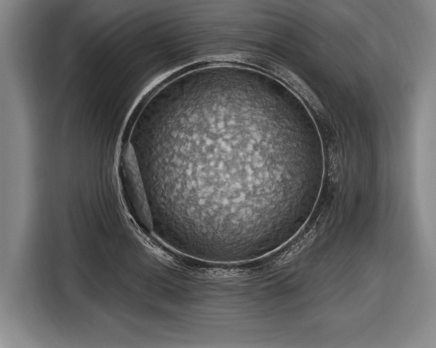 X0000116491036200912161314