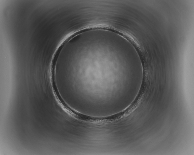 X0000116491038200912161314