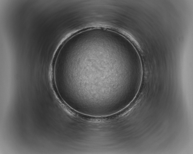 X0000116491040200912161314