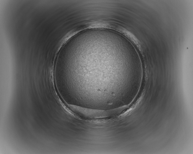 X0000116491041200912161314