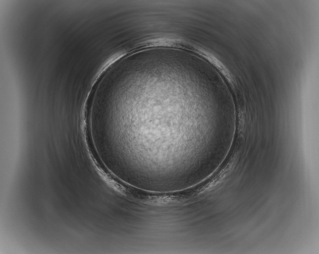 X0000116491042200912161314