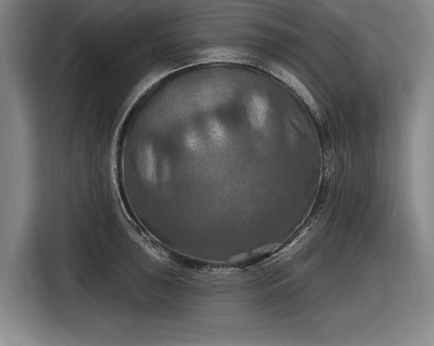 X0000116491043200912161314