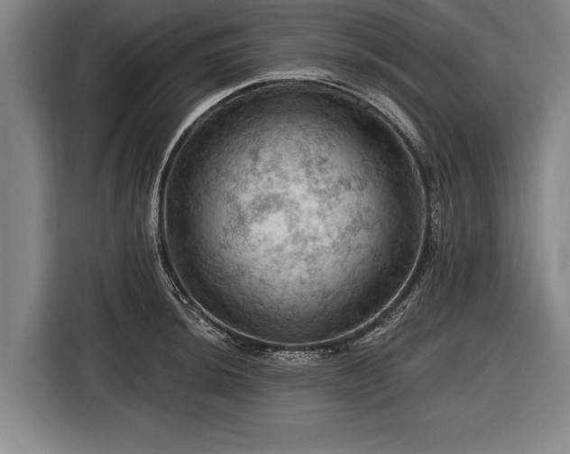 X0000116491044200912161314