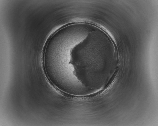 X0000116491045200912161315