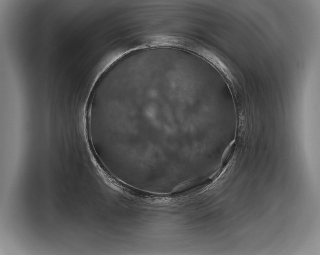 X0000116491047200912161315