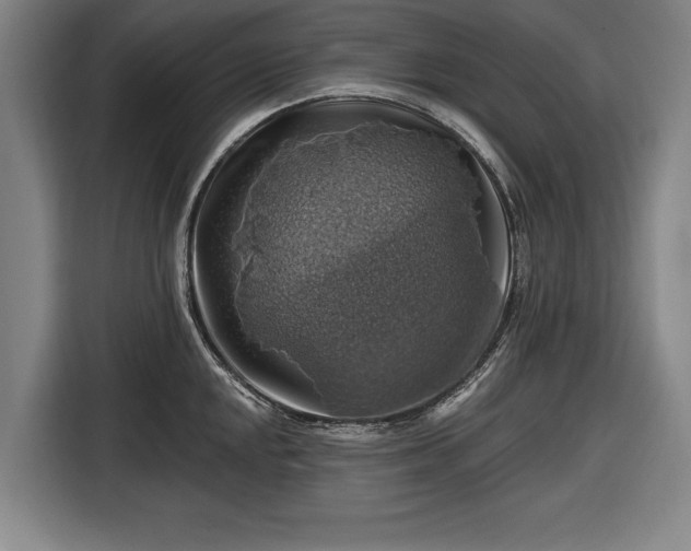 X0000116491048200912161315