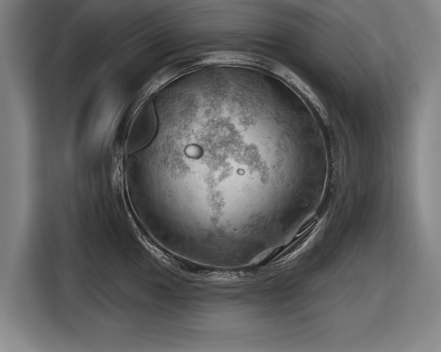 X0000116491049200912161315