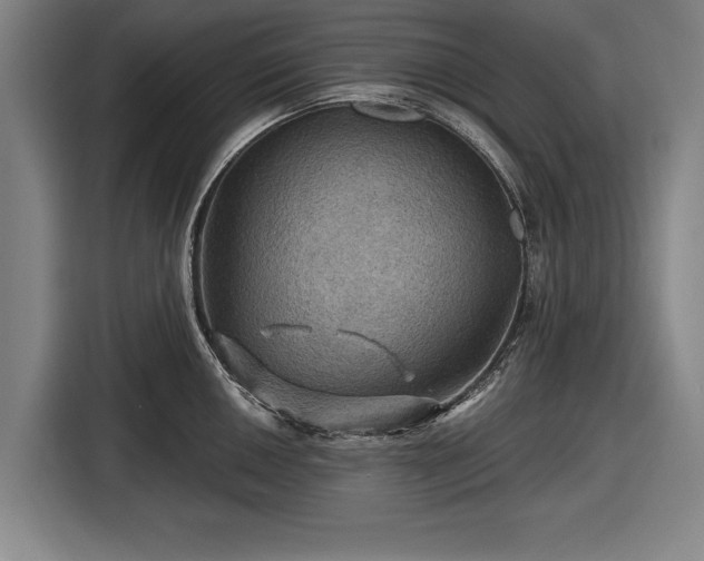 X0000116491050200912161315