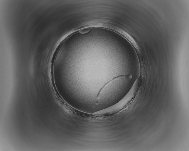 X0000116491051200912161315