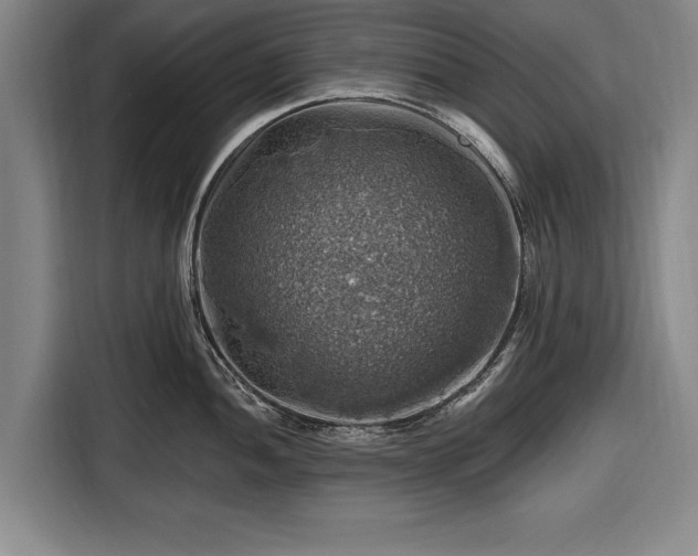 X0000116491052200912161315