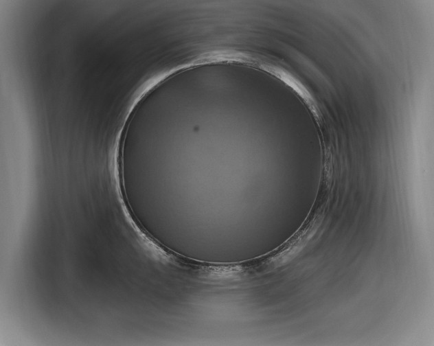 X0000116491055200912161315