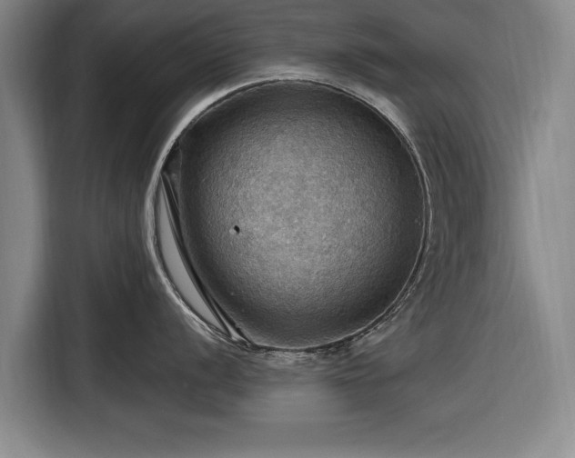 X0000116491056200912161315