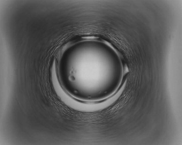 X0000116491057200912161314