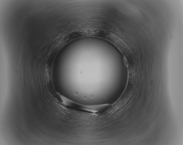 X0000116491058200912161314