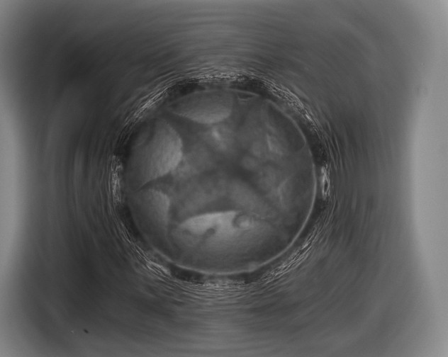 X0000116491059200912161314