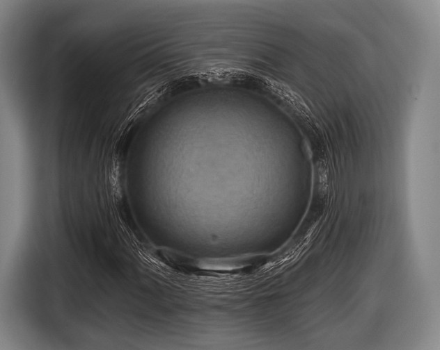 X0000116491060200912161314