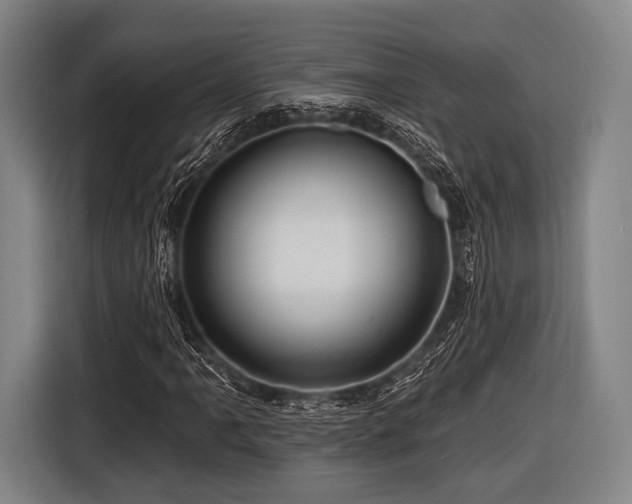 X0000116491061200912161314