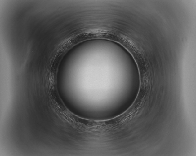 X0000116491062200912161314