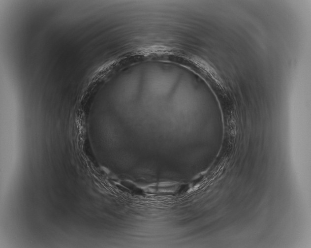 X0000116491063200912161314